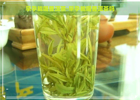 早孕能喝普洱茶-早孕能喝普洱茶吗