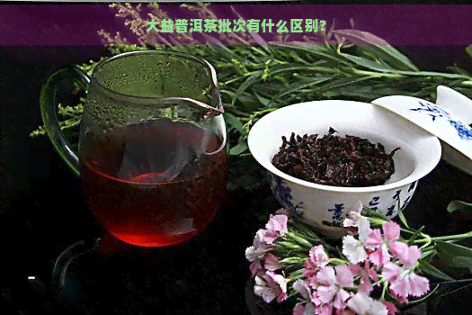 大益普洱茶批次有什么区别？