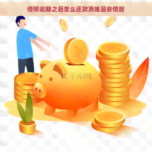 借呗逾期之后怎么还款及唯品会借款