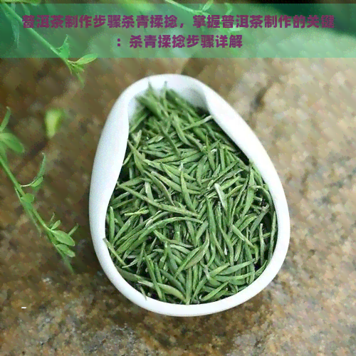 普洱茶制作步骤杀青揉捻，掌握普洱茶制作的关键：杀青揉捻步骤详解