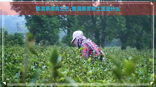 普洱茶涝青工艺-普洱茶涝青工艺是什么