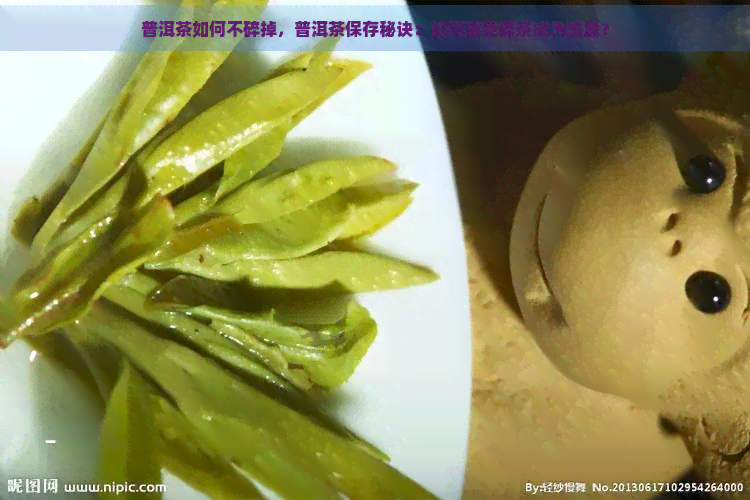 普洱茶如何不碎掉，普洱茶保存秘诀：如何避免碎茶成为难题？