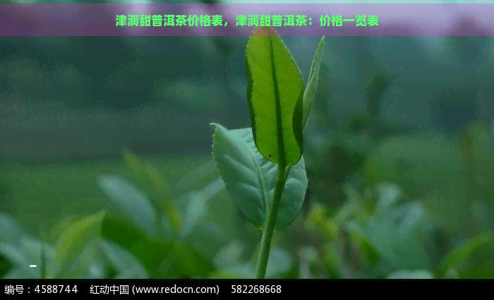 津润甜普洱茶价格表，津润甜普洱茶：价格一览表