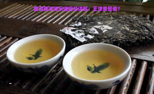 普洱茶津津乐道视频讲解：王津美是谁？