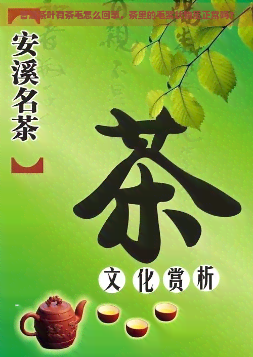 普洱茶叶有茶毛怎么回事，茶里的毛絮状物质正常吗？