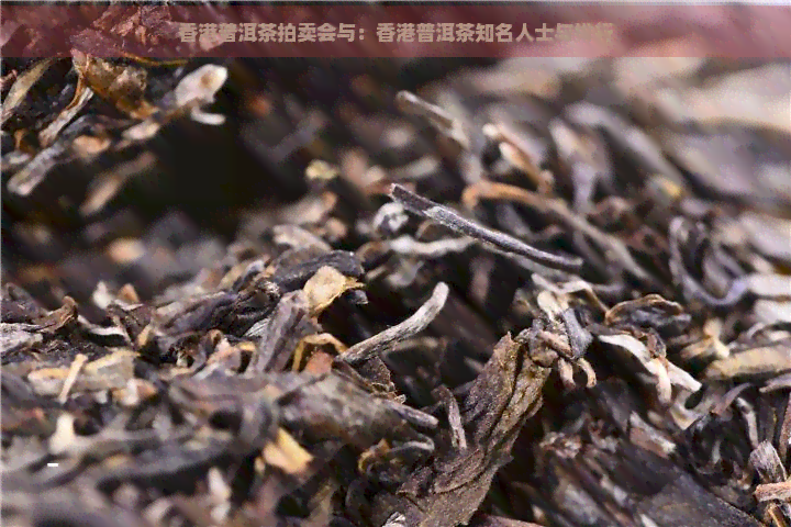 普洱茶拍卖会与：普洱茶知名人士与排行