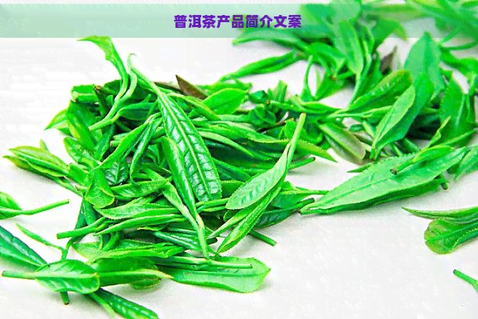 普洱茶产品简介文案 