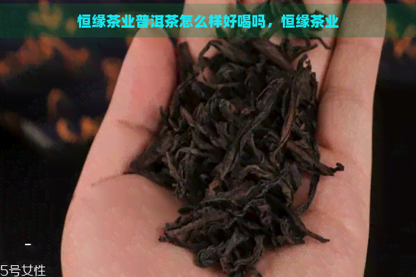 恒缘茶业普洱茶怎么样好喝吗，恒缘茶业