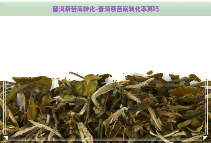 普洱茶苦底转化-普洱茶苦底转化率高吗