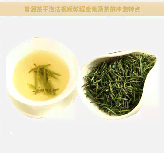 普洱茶干泡法视频教程全集及茶的冲泡特点