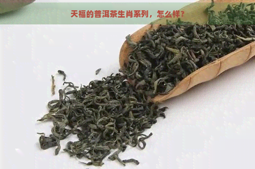 天福的普洱茶生肖系列，怎么样？