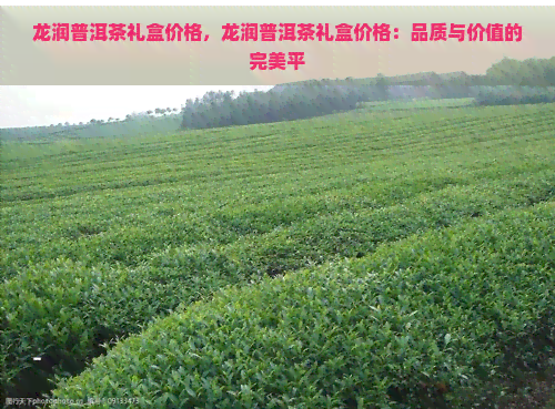 龙润普洱茶礼盒价格，龙润普洱茶礼盒价格：品质与价值的完美平