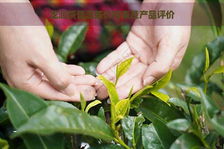 龙润茶普洱茶价格表及产品评价