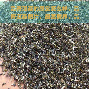 品普洱茶的感觉怎么样，品普洱茶图片，更高境界，品味普洱茶，品鉴普洱茶点评