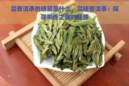 品普洱茶的感觉是什么，品味普洱茶：探寻茶香之美的感受