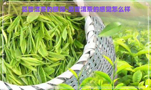 品普洱茶的感觉-品普洱茶的感觉怎么样