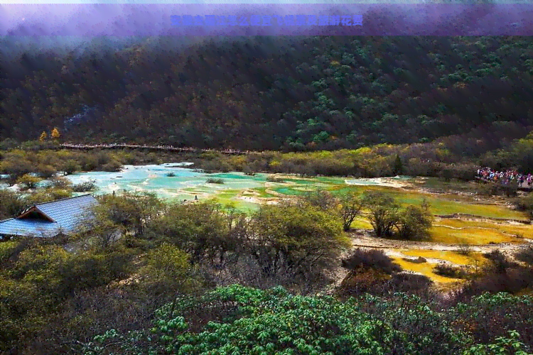 安徽去丽江怎么便宜飞机票及旅游花费