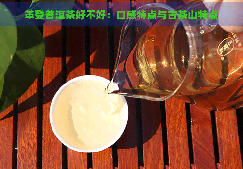 革登普洱茶好不好：口感特点与古茶山特点