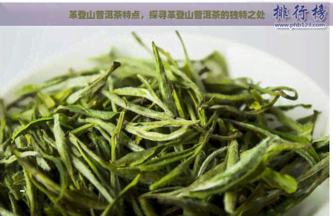 革登山普洱茶特点，探寻革登山普洱茶的独特之处