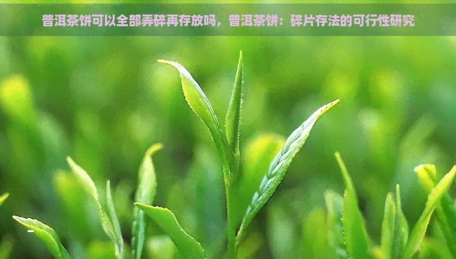 普洱茶饼可以全部弄碎再存放吗，普洱茶饼：碎片存法的可行性研究