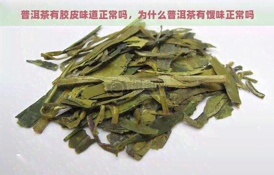 普洱茶有胶皮味道正常吗，为什么普洱茶有馊味正常吗