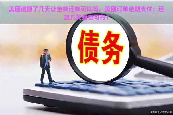 美团逾期了几天让全款还款可以吗，美团订单逾期支付：还款几天是否可行？