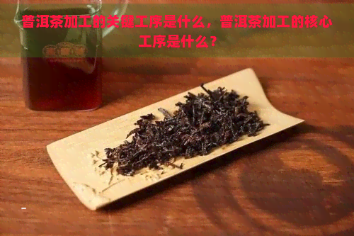 普洱茶加工的关键工序是什么，普洱茶加工的核心工序是什么？