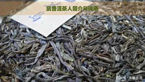 凯普洱茶人简介与传承