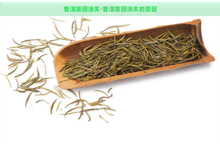 普洱茶回消失-普洱茶回消失的原因