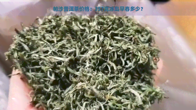 帕沙普洱茶价格：357克冰岛早春多少？