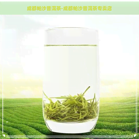 成都帕沙普洱茶-成都帕沙普洱茶专卖店