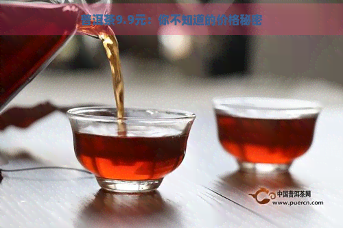 普洱茶9.9元：你不知道的价格秘密