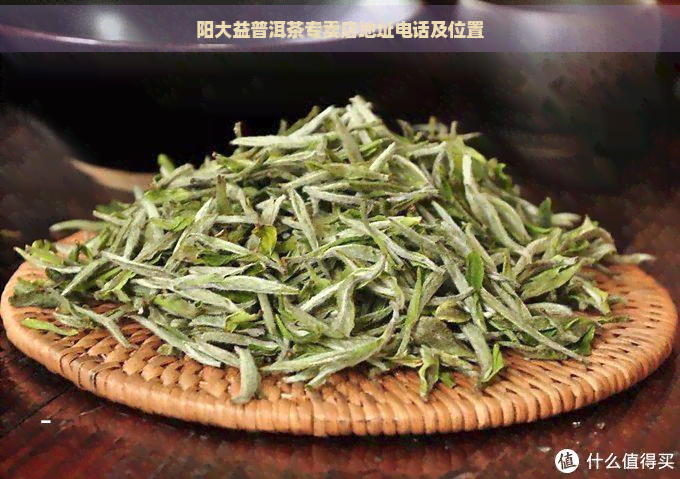 阳大益普洱茶专卖店地址电话及位置