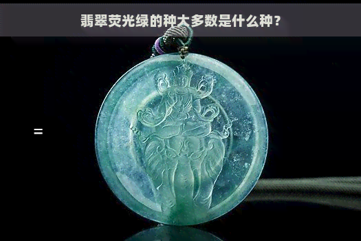 翡翠荧光绿的种大多数是什么种？