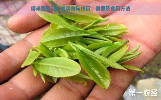 糯米香普洱茶的功效与作用、禁忌及食用方法