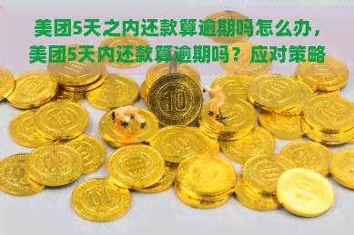 美团5天之内还款算逾期吗怎么办，美团5天内还款算逾期吗？应对策略大揭秘！