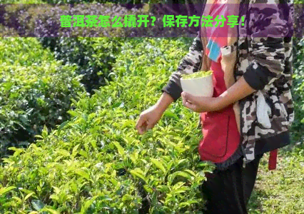 普洱茶怎么撬开？保存方法分享！