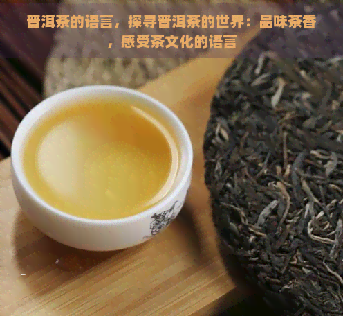 普洱茶的语言，探寻普洱茶的世界：品味茶香，感受茶文化的语言