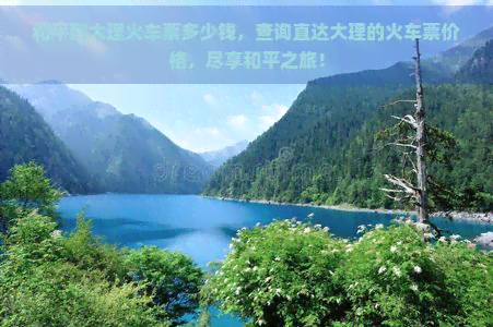 和平到大理火车票多少钱，查询直达大理的火车票价格，尽享和平之旅！