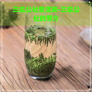 三瓜公社普洱茶-三瓜公社的简介