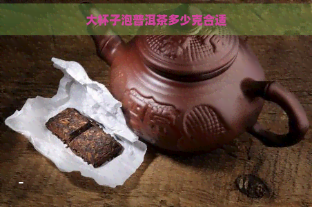 大杯子泡普洱茶多少克合适