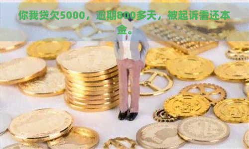 你我贷欠5000，逾期800多天，被起诉需还本金。