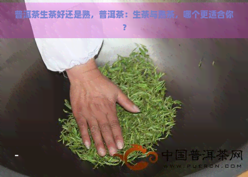 普洱茶生茶好还是熟，普洱茶：生茶与熟茶，哪个更适合你？