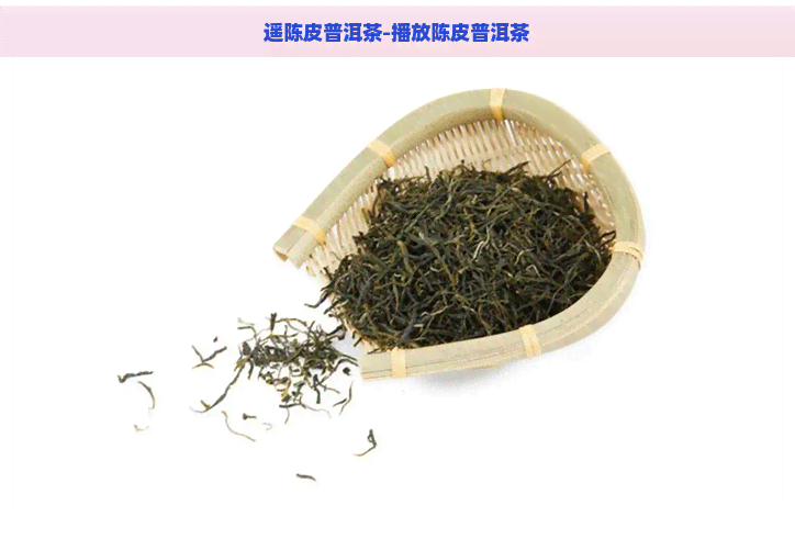 遥陈皮普洱茶-播放陈皮普洱茶