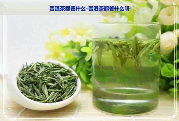 普洱茶都管什么-普洱茶都管什么呀