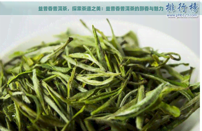 益普香普洱茶，探索茶道之美：益普香普洱茶的醇香与魅力