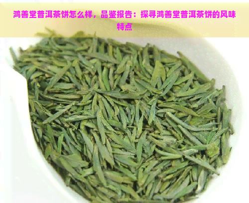 鸿善堂普洱茶饼怎么样，品鉴报告：探寻鸿善堂普洱茶饼的风味特点