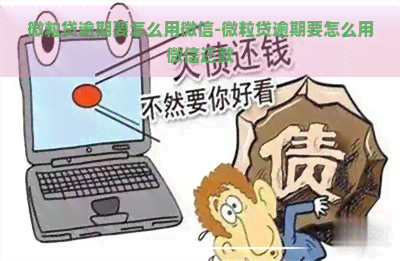 微粒贷逾期要怎么用微信-微粒贷逾期要怎么用微信还款