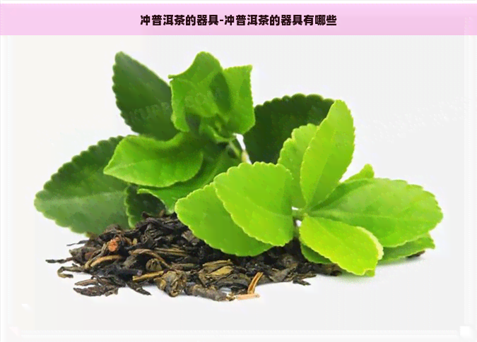 冲普洱茶的器具-冲普洱茶的器具有哪些