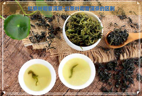 红茶叶和普洱茶-红茶叶和普洱茶的区别